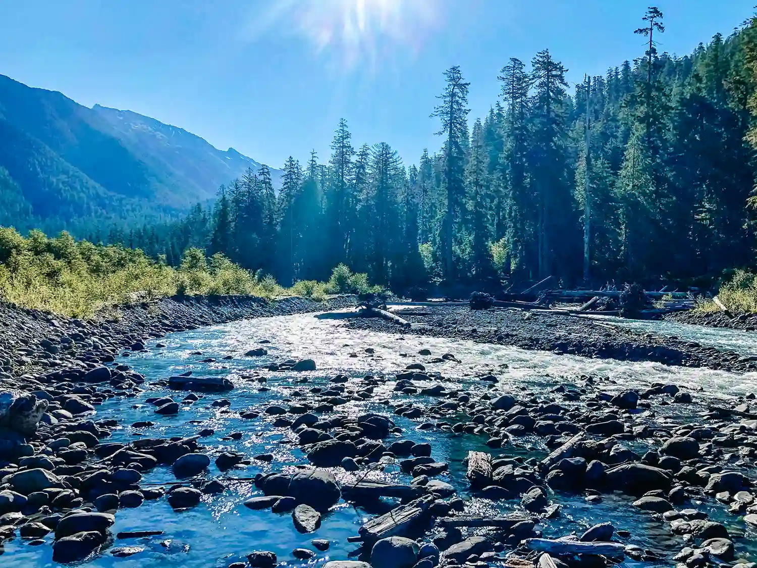 A river flows over smooth rocks with a backdrop of tall trees and distant mountains. A highlight in our Guide to Backpacking the Hoh Rainforest.