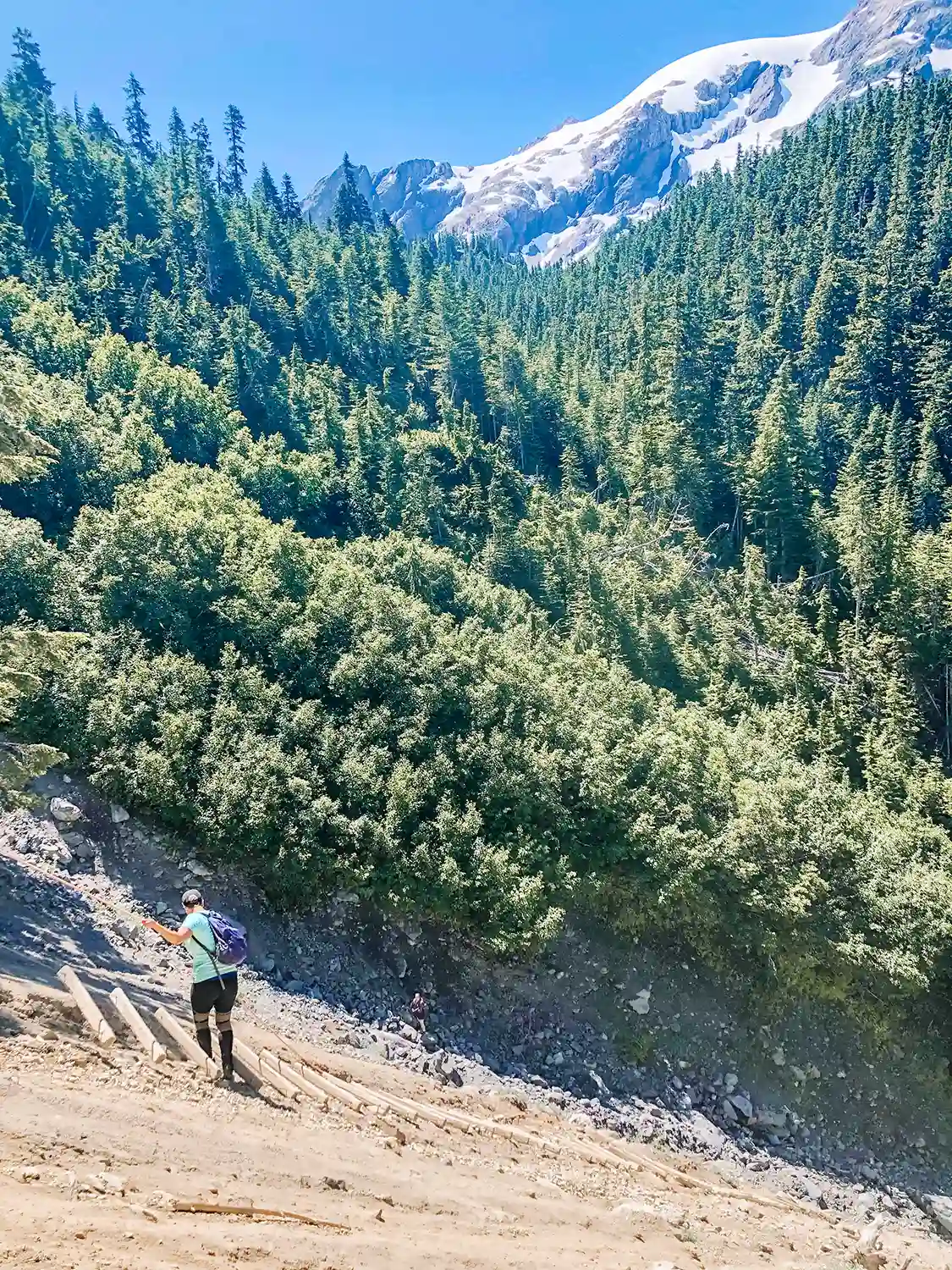 I climbed a steep ladder on a mountainside with a stunning view of lush green trees and a snow-capped peak in our guide to backpacking The Hoh Rainforest,