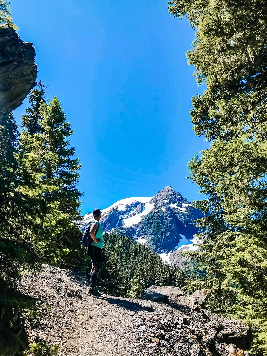 Standing and admiring the glacier view framed by tall evergreens, to discover this scenic spot in our guide to backpacking The Hoh Rainforest.