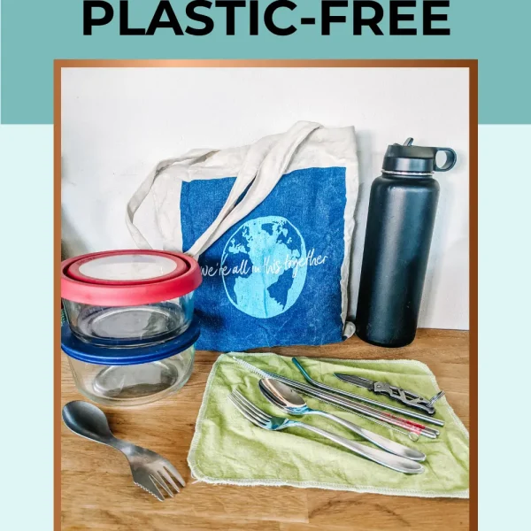 Eating Out Plastic Free