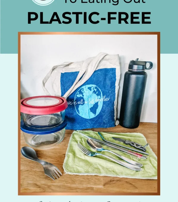 Eating Out Plastic Free