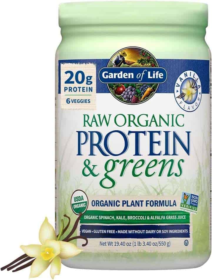 A jar of Garden of Life Raw Organic Protein & Greens, a convenient powder that can be mixed with water for a healthy snack you can bring on an airplane, providing a quick boost of protein and nutrients during your flight.