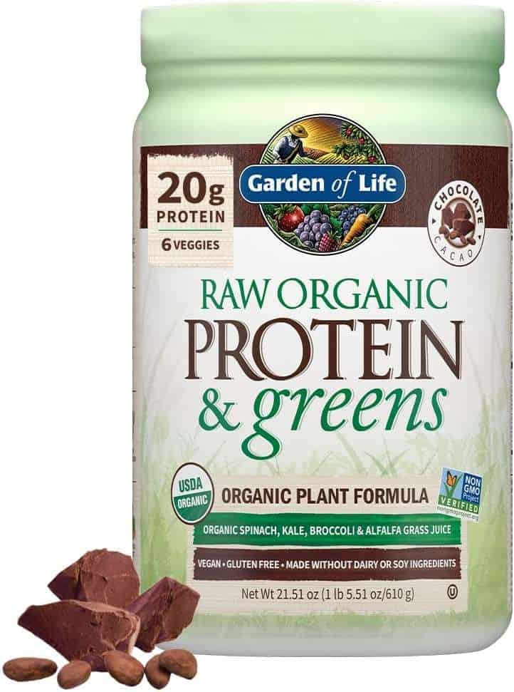 A container of Garden of Life Raw Organic Protein & Greens in chocolate flavor, an easy and nutritious option for snacks you can bring on an airplane.