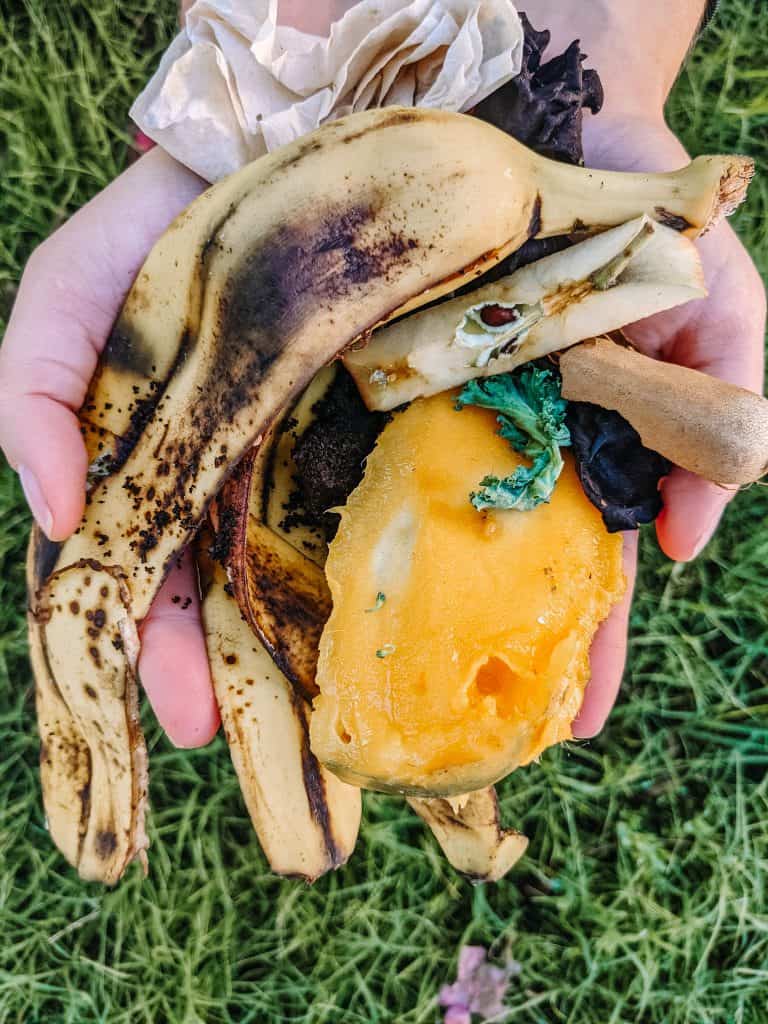 I'm holding a handful of food scraps, including banana peels, vegetable remains, and coffee grounds. This is one of my sustainability examples, as I use these scraps for composting to enrich my garden soil and reduce waste.