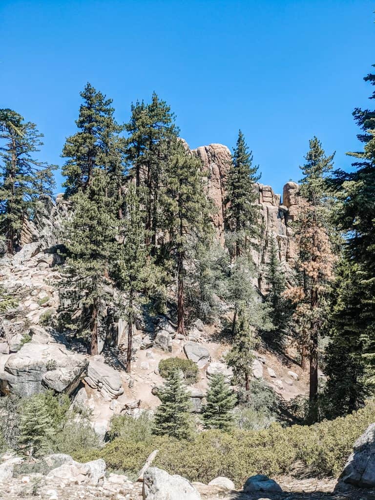 The City of Big Bear offers stunning views of tall pine trees and rugged rock formations. The blue sky with the green forest, creating a scene perfect for nature lovers and hikers.