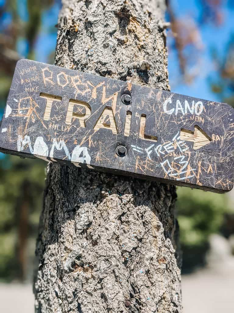 A rustic trail sign nailed to a tree, marked with carvings and graffiti, points the way for hikers in the City of Big Bear. The arrow direct towards the "Cano" trail, inviting you to explore the area.