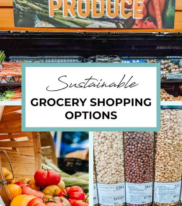 Grocery Shopping Options