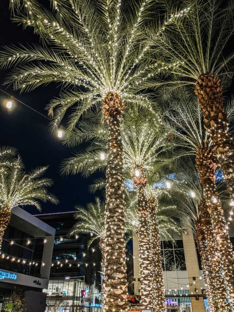 A palm trees adorned with sparkling lights at night, creating a festive atmosphere, perfect for enjoying Arizona in winter.