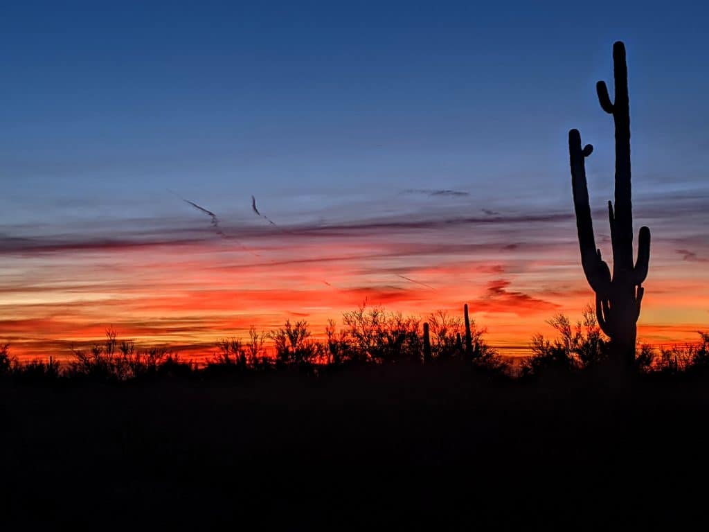 A stunning Arizona in winter sunset with a silhouetted saguaro cactus against a sky painted in deep shades of blue and orange.