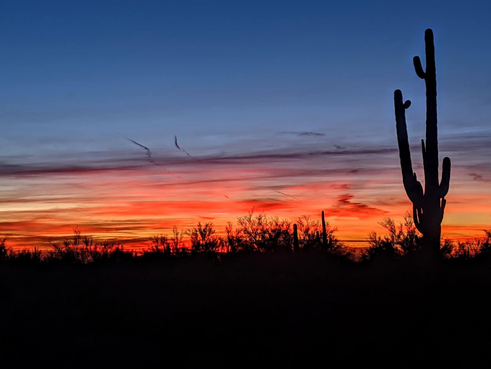 7 REASONS TO VISIT ARIZONA IN WINTER - Manifesting Serenity