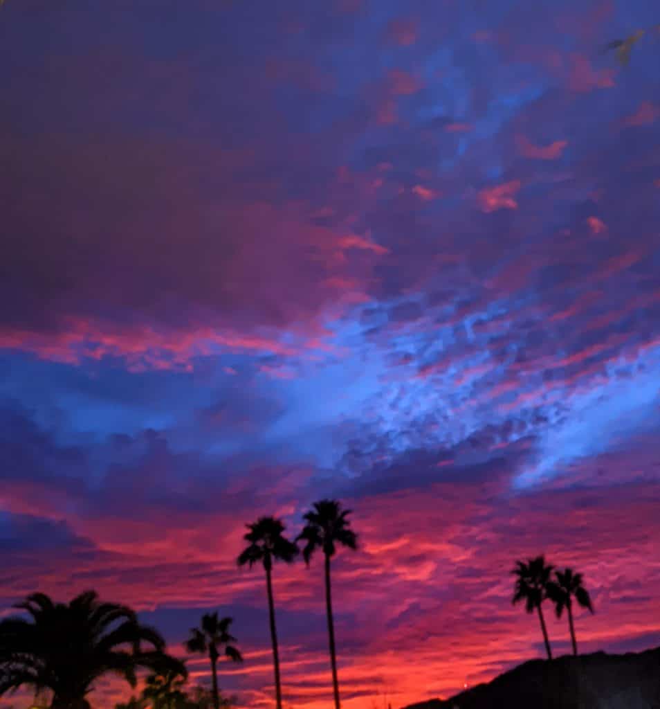 A vibrant Arizona in winter sunset with a sky painted in deep purple and pink hues, framed by silhouetted palm trees.