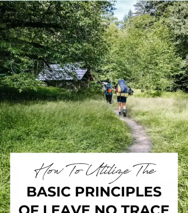 The principles of Leave No Trace, highlighting a clean campsite and minimal environmental impact. It’s a great reminder to respect nature and leave the outdoors as we found it, preserving it for future visitors.