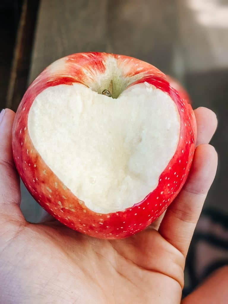 I'm holding a red apple with a heart-shaped bite taken out of it, making it a fresh and healthy option among snacks you can bring on an airplane.