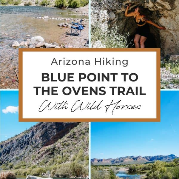 The beauty of Arizona hiking, with a trail winding through a rugged desert landscape. The clear skies and vast surroundings make for an unforgettable outdoor adventure.