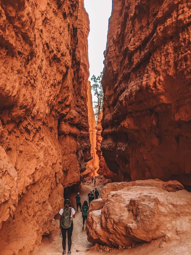 A group of hikers walking through a narrow, towering red rock canyon in Bryce National Park, highlighting the park's unique and striking geological formations.