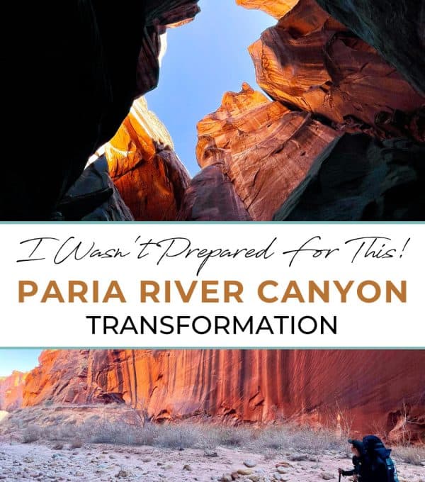 The stunning Paria River Canyon, with its deep red and orange rock formations creating a dramatic landscape. The winding river at the bottom of the canyon adds to the beauty of this rugged, remote area, making it a must-see for adventure seekers.