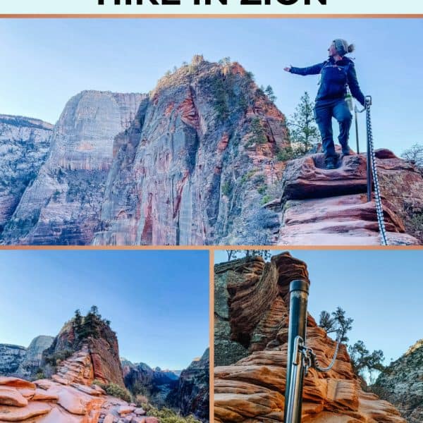 A steep, rocky trail leading up to the top of Angels Landing, with dramatic views of Zion National Park below. The narrow path and sharp cliffs make this hike both challenging and rewarding, offering stunning panoramic views for those brave enough to complete it.