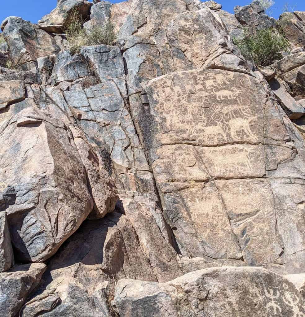 This image of hiking in Phoenix depicts a rocky cliff face adorned with detailed ancient rock carvings, including animal figures and symbols, etched into the stone.