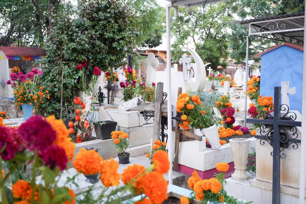 A cemetery adorned with colorful marigold flowers and other floral arrangements, symbolizing the Day of the Dead in Mexico. The graves are decorated with bright orange and purple flowers