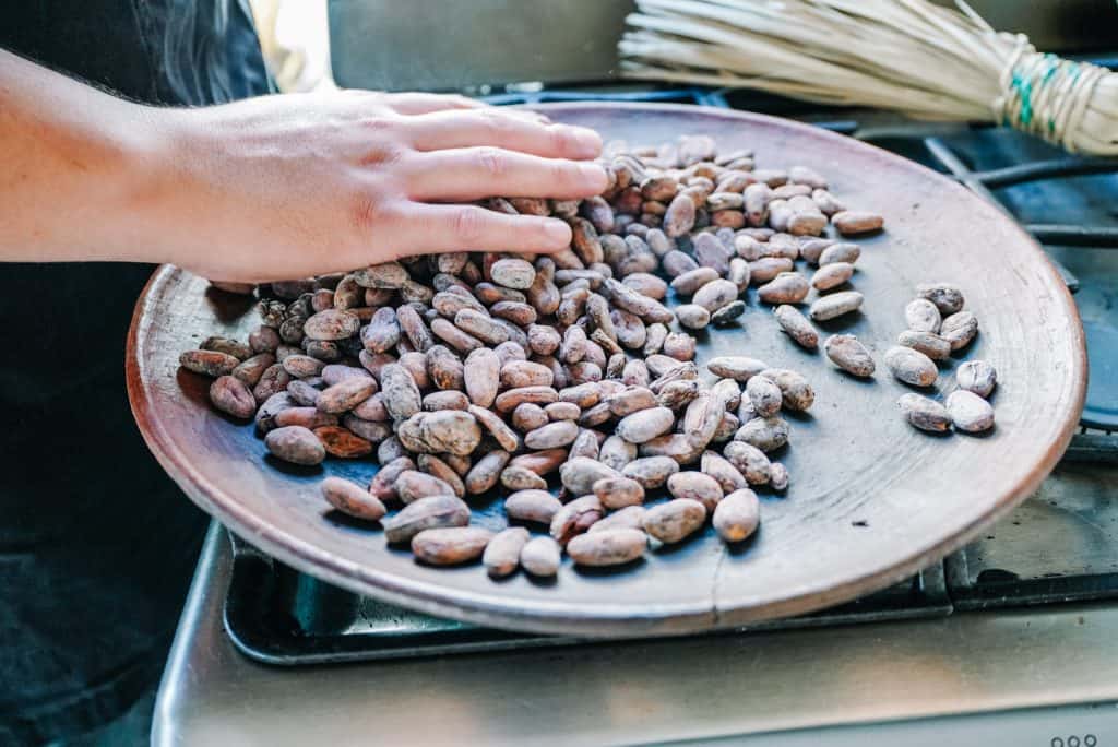 A hand is seen sorting dried cacao beans on a wooden plate, a common sight in an Oaxaca restaurant where traditional culinary practices are preserved and celebrated.