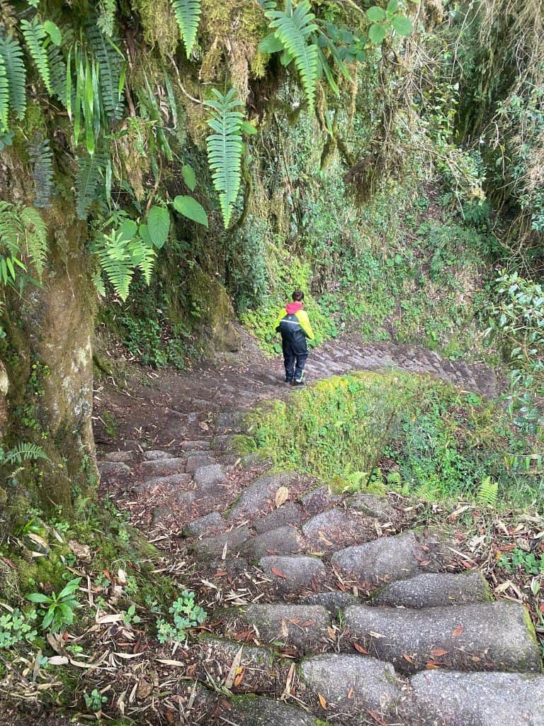 Walking down a moss-covered stone pathway surrounded by dense, green foliage on the Inca Trail, one of the incredible places to visit in Peru.