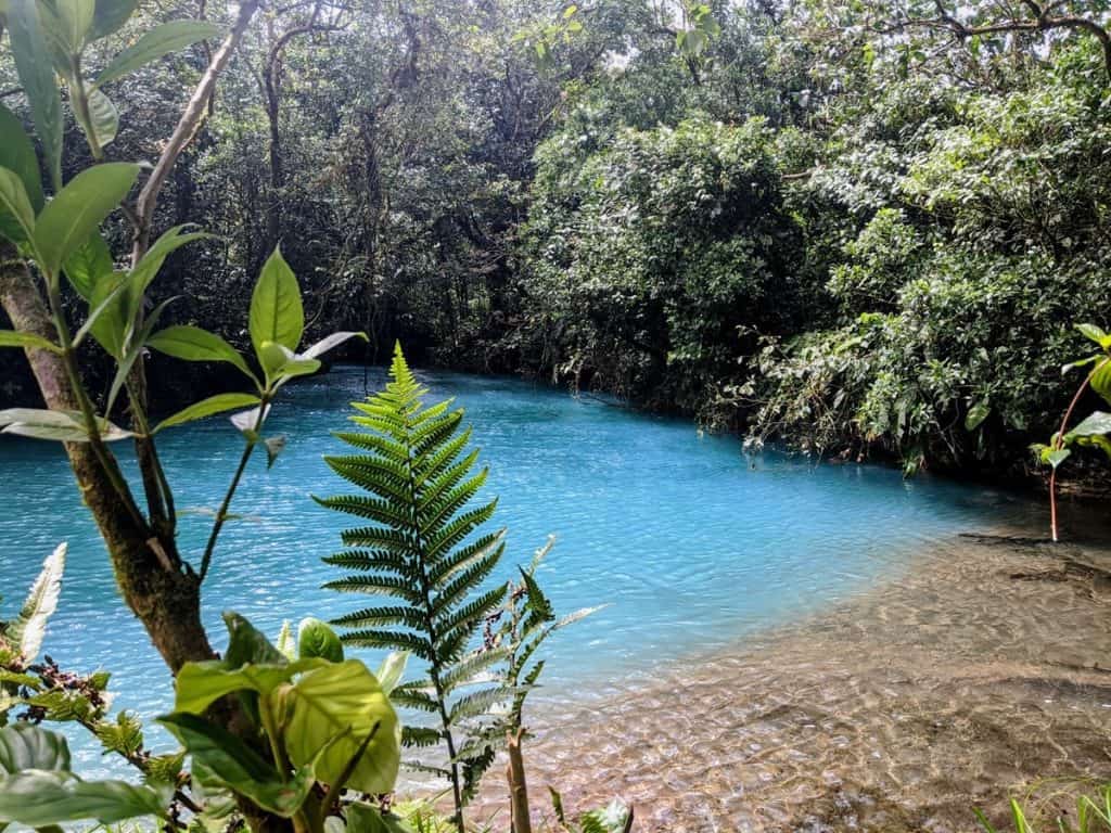 A turquoise river surrounded by lush greenery, making it a stunning destination for Costa Rica day trips to experience the country's natural beauty.