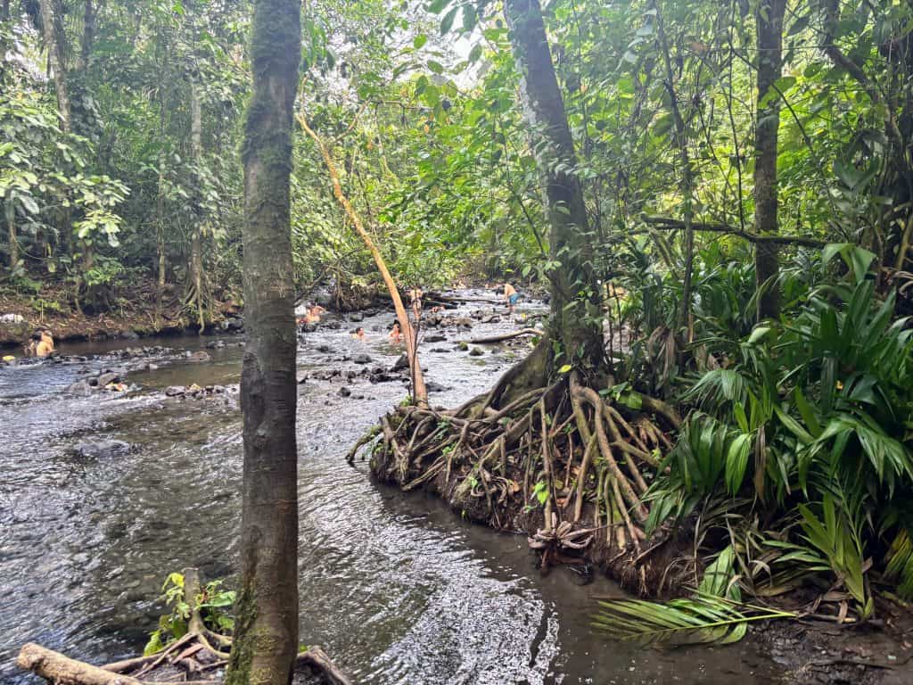 A serene river winds through the dense rainforest, offering a peaceful spot perfect for a Costa Rica day trip where you can immerse yourself in nature’s tranquility.