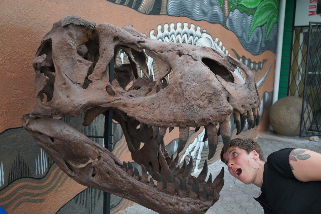 In this playful moment captured during one of my Costa Rica Day Trips, I’m pretending to be devoured by a large dinosaur skull, adding a bit of humor and adventure to the day's exploration.