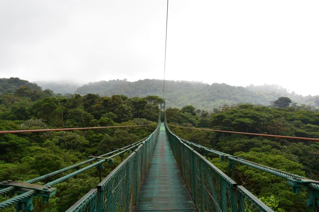 Along suspension bridge stretches across the lush, misty cloud forest, offering a breathtaking view of the treetops and the dense greenery below, perfect for an adventurous Costa Rica day trip.