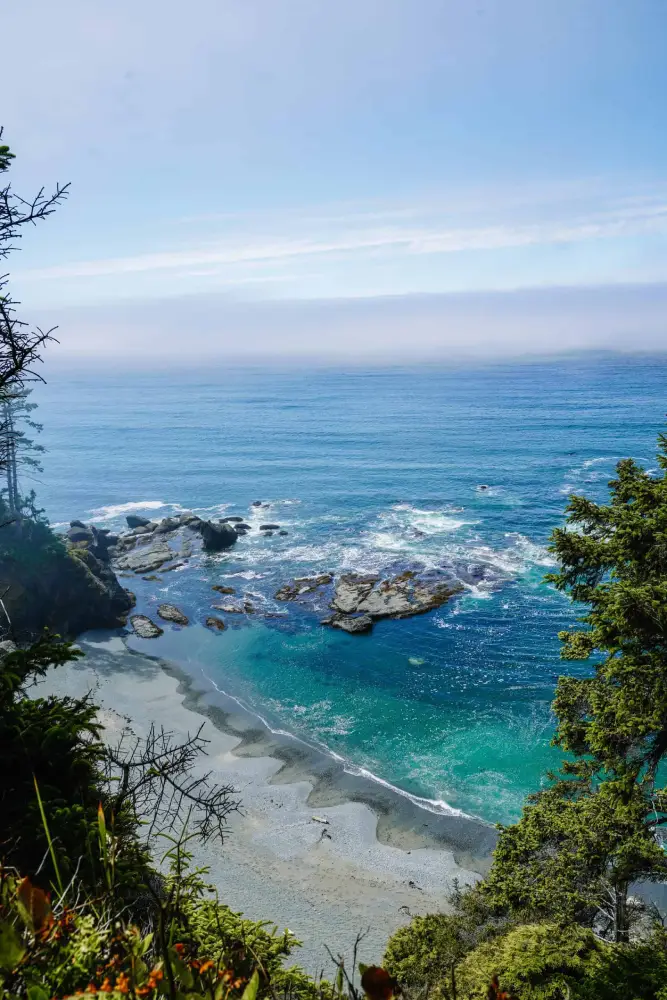 View of the rocky shoreline and clear blue waters at Shi Shi Beach Olympic National Park, with trees framing the coastline.