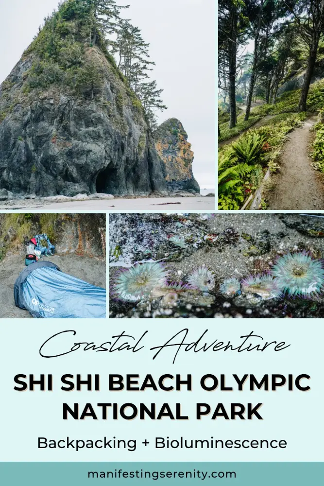 Coastal Adventure: Shi Shi Beach Olympic National Park Backpacking (+Bioluminescence!)