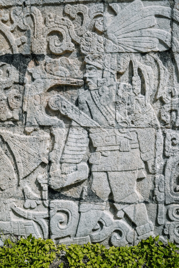 Detailed stone carving of a Maya warrior found on Chichen Itza day trips, depicting intricate patterns and symbols, with green plants below.