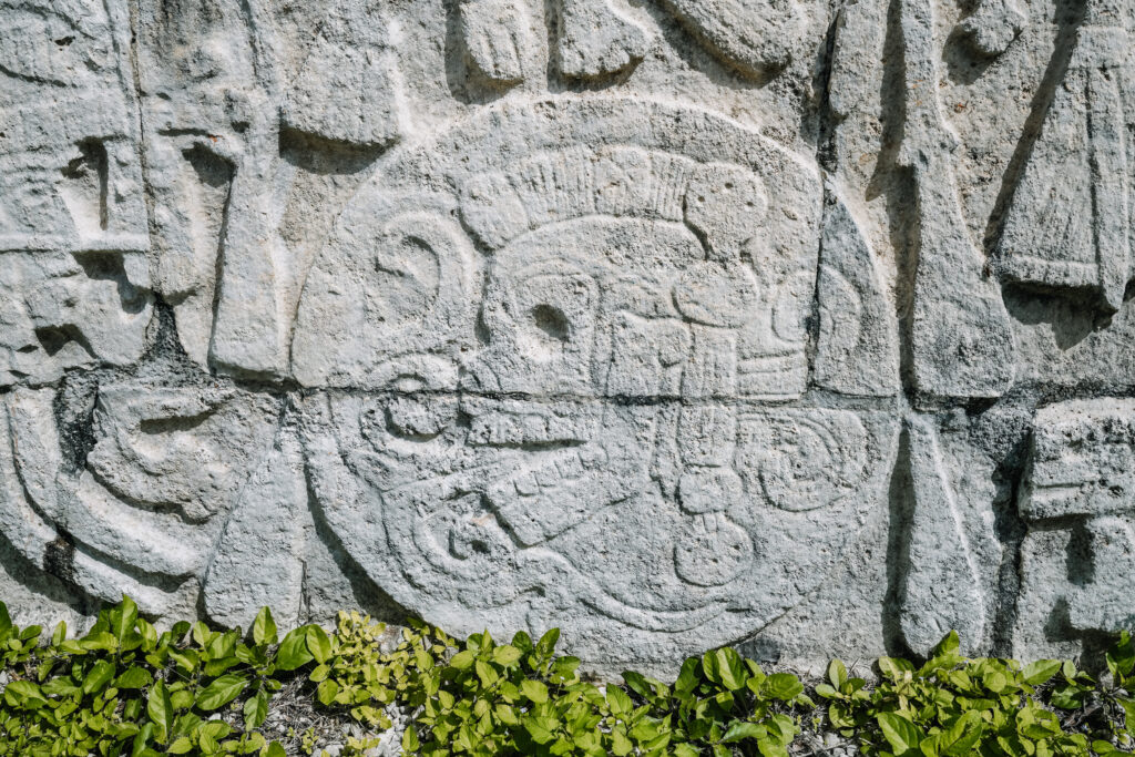 Close-up of a carved stone panel depicting Maya artwork found during Chichen Itza day trips, with intricate details and green plants below.